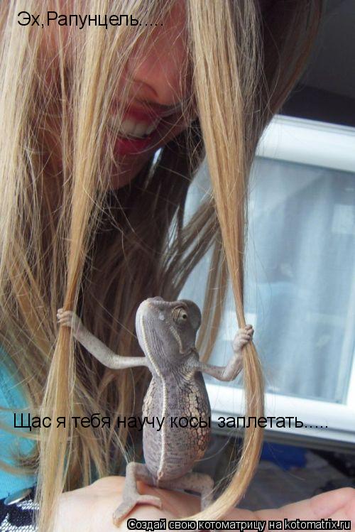 Котоматрица: Эх,Рапунцель..... Щас я тебя научу косы заплетать.....