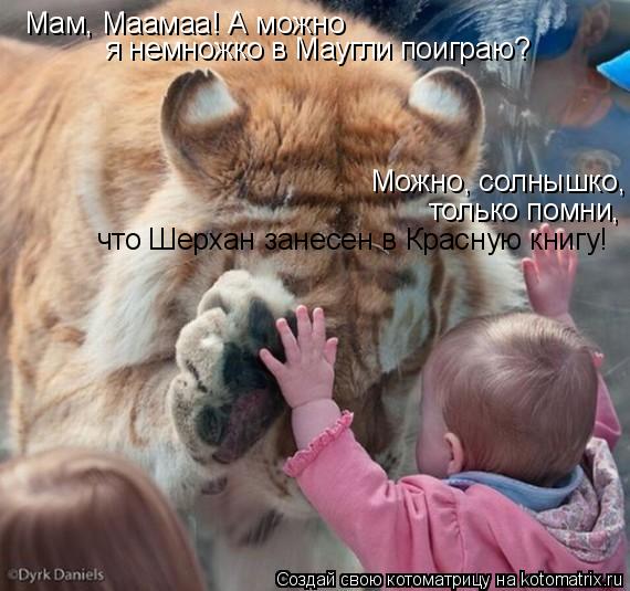 Котоматрица: Мам, Маамаа! А можно я немножко в Маугли поиграю? Можно, солнышко, что Шерхан занесен в Красную книгу! только помни,
