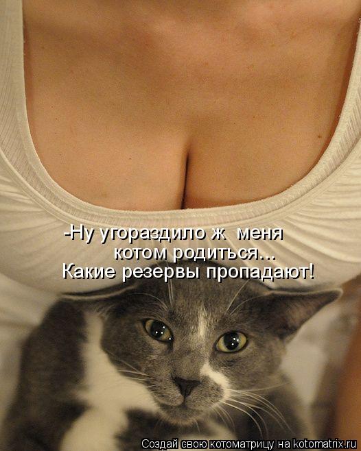 Котоматрица: -Ну угораздило ж  меня  котом родиться... Какие резервы пропадают!