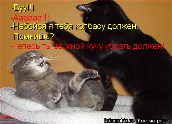 Котоматрица: -Буу!!! -Аааааа!!! Помнишь? -Небойся я тебя колбасу должен. -Теперь ты за мной кучу убрать должен!