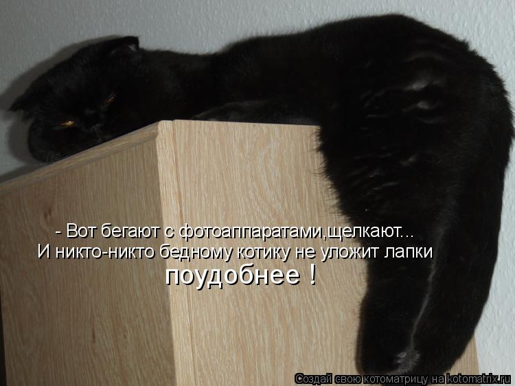 Котоматрица: - Вот бегают с фотоаппаратами,щелкают... И никто-никто бедному котику не уложит лапки поудобнее !