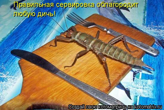 Котоматрица: Правильная сервировка облагородит  любую дичь!