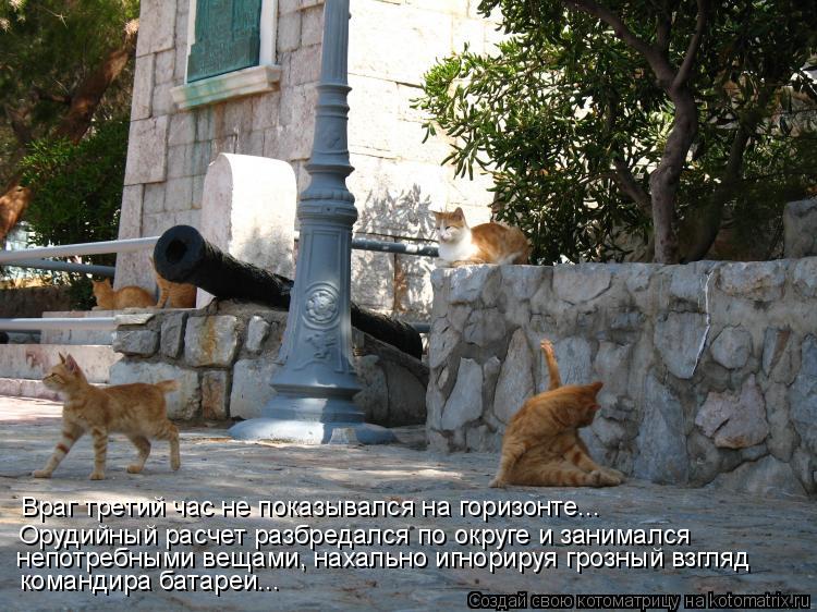Котоматрица: Враг третий час не показывался на горизонте... Орудийный расчет разбредался по округе и занимался непотребными вещами, нахально игнорируя 