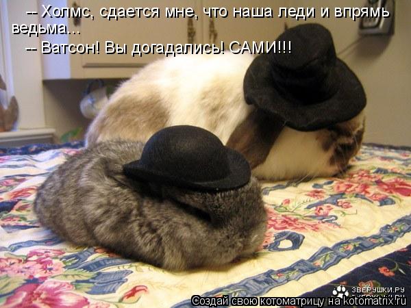 Котоматрица: -- Холмс, сдается мне, что наша леди и впрямь ведьма... -- Ватсон! Вы догадались! САМИ!!!