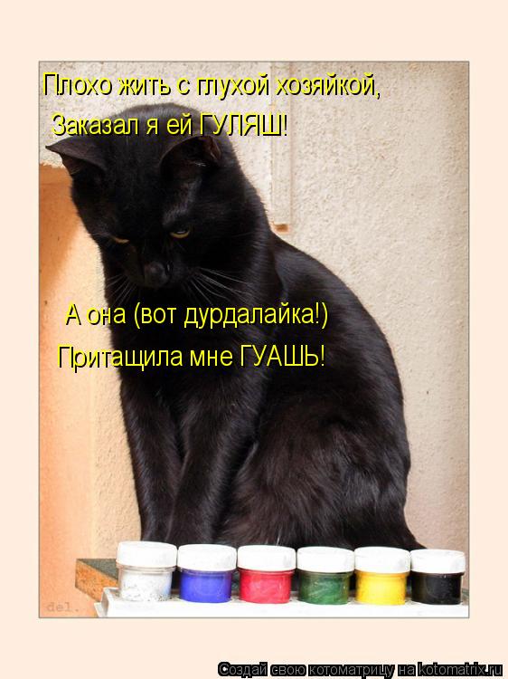 Котоматрица: Плохо жить с глухой хозяйкой, Заказал я ей ГУЛЯШ! А она (вот дурдалайка!) Притащила мне ГУАШЬ!