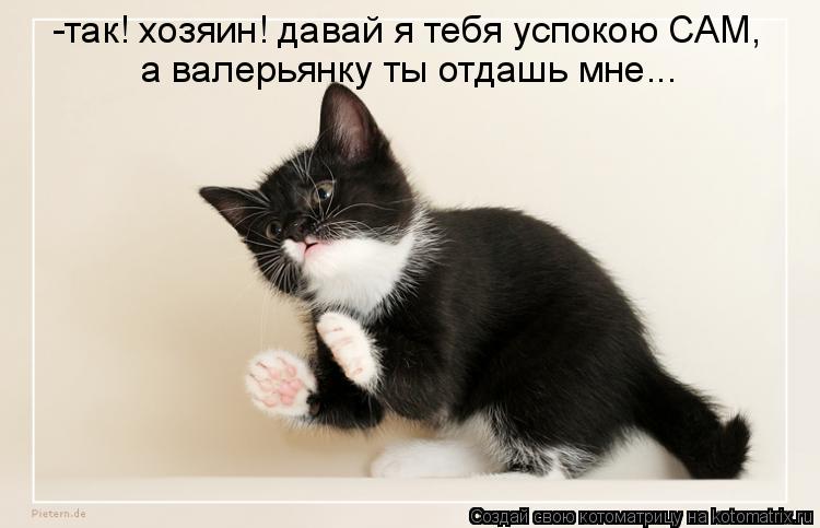 -так! хозяин! давай я тебя успокою САМ, а валерьянку ты отдашь мне...... Котоматрица: -так! хозяин! давай я тебя успокою САМ, а валерьянку ты отдашь мне...