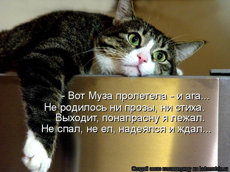 Котоматрица: Выходит, понапрасну я лежал. Не родилось ни прозы, ни стиха. Не спал, не ел, надеялся и ждал... - Вот Муза пролетела - и ага...