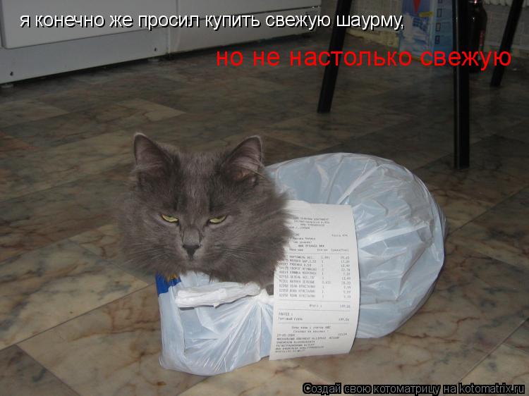 Котоматрица: я конечно же просил купить свежую шаурму, но не настолько свежую