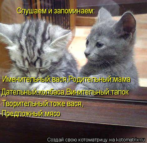 Котоматрица: Слушаем и запоминаем: Именительный:вася,Родительный:мама Дательный:колбаса,Винительный:тапок Творительный:тоже вася, Предложный:мясо