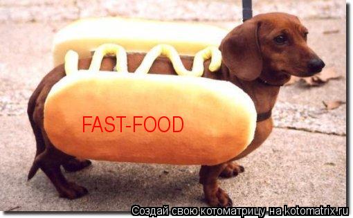 Котоматрица: FAST-FOOD