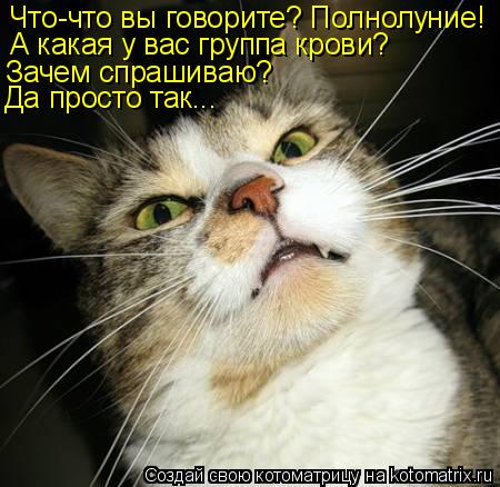 Котоматрица: Что-что вы говорите? Полнолуние! А какая у вас группа крови? Зачем спрашиваю? Да просто так...