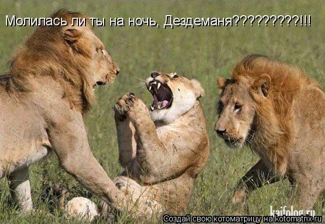 Котоматрица: Молилась ли ты на ночь, Дездеманя?????????!!!
