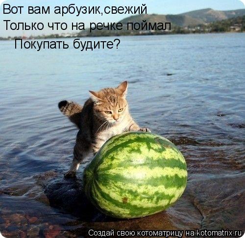 Котоматрица: Вот вам арбузик,свежий Только что на речке поймал Покупать будите?