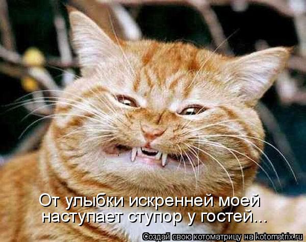 От улыбки искренней моей наступает ступор у гостей...... Котоматрица: От улыбки искренней моей наступает ступор у гостей...