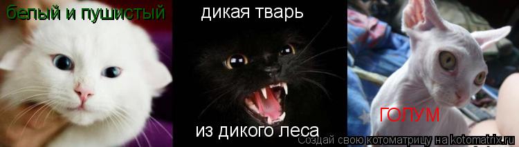 Котоматрица: белый и пушистый дикая тварь из дикого леса ГОЛУМ
