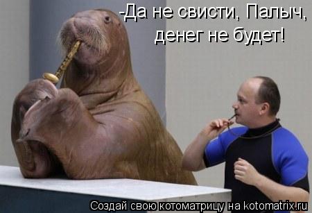 Котоматрица: -Да не свисти, Палыч, денег не будет!