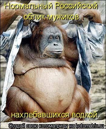 Нормальный Российский облик мужиков нахлебавшихся водкой.... Котоматрица: Нормальный Российский облик мужиков нахлебавшихся водкой.