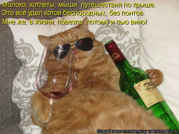 Котоматрица: Молоко, котлеты, мыши, путешествия по крыше,  Это всё удел котов беспородных, без понтов.  Мне же, в жизни, повезло, потому и пью вино!