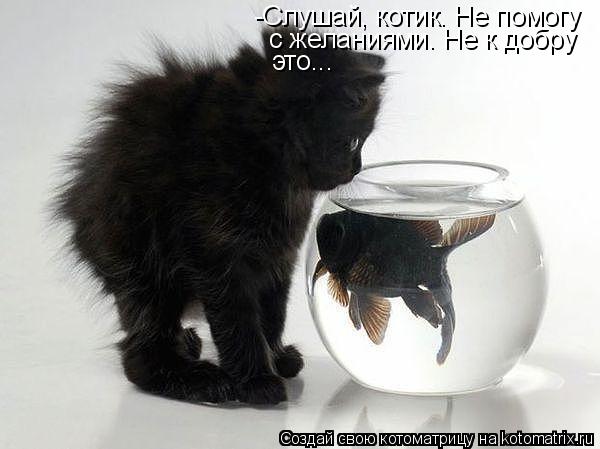 Котоматрица: -Слушай, котик. Не помогу с желаниями. Не к добру это...