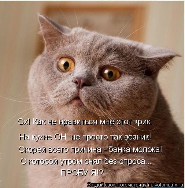 Котоматрица: На кухне ОН  не просто так возник! Скорей всего причина - банка молока! Ох! Как не нравиться мне этот крик... С которой утром снял без спроса... П
