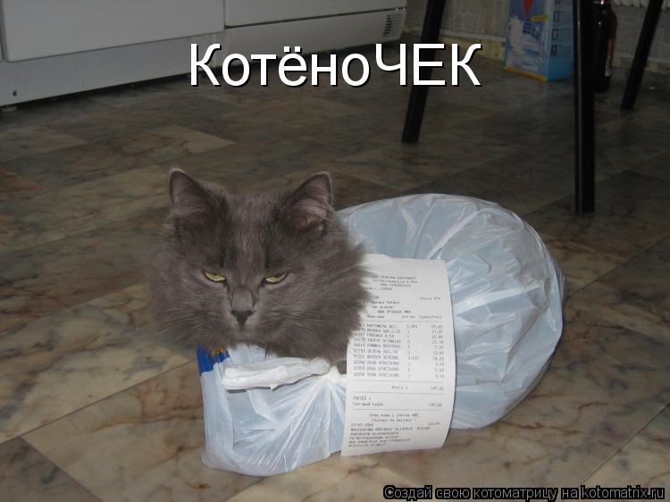 КотёноЧЕК... Котоматрица: КотёноЧЕК