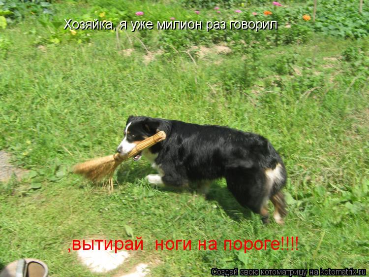 Котоматрица: Хозяйка, я уже милион раз говорил ,вытирай  ноги на пороге!!!!