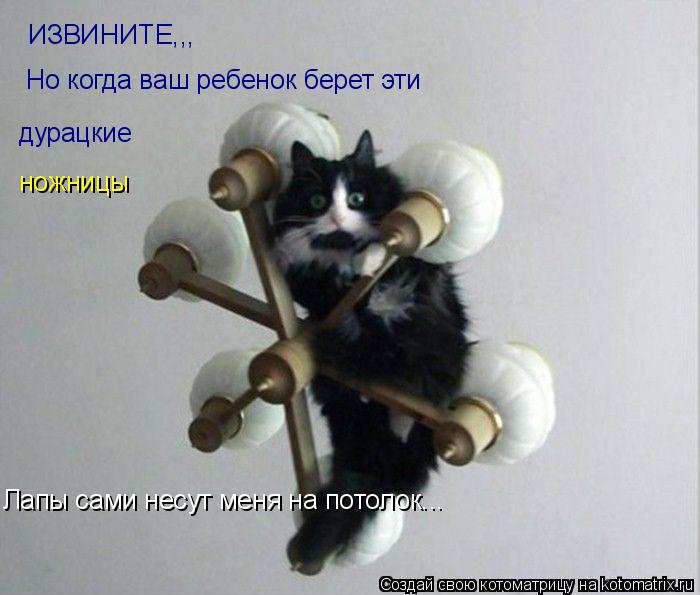 Котоматрица: ИЗВИНИТЕ,,, Но когда ваш ребенок берет эти  дурацкие ножницы Лапы сами несут меня на потолок...