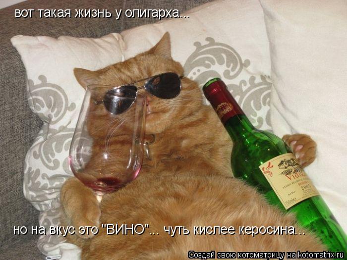 Котоматрица: вот такая жизнь у олигарха...  но на вкус это "ВИНО"... чуть кислее керосина...