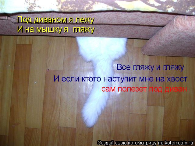 Котоматрица: Под диваном я лежу И на мышку я  гляжу Все гляжу и гляжу И если ктото наступит мне на хвост  сам полезет под диван