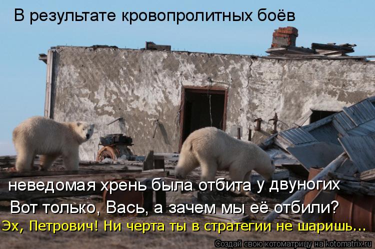 Котоматрица: В результате кровопролитных боёв неведомая хрень была отбита у двуногих Вот только, Вась, а зачем мы её отбили? Эх, Петрович! Ни черта ты в ст