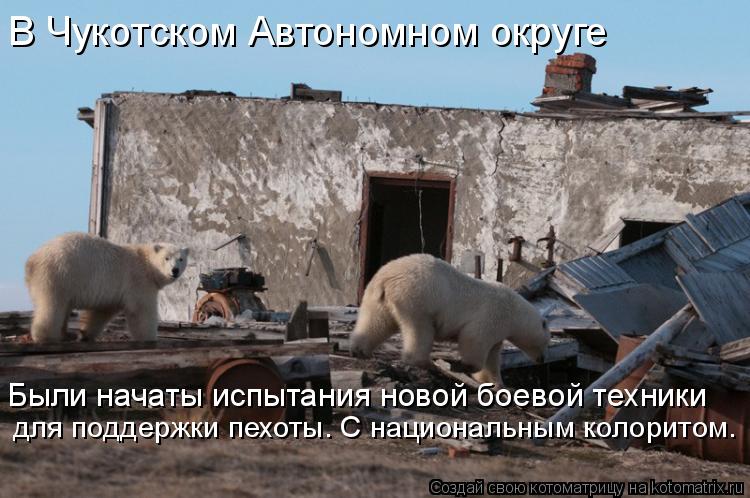 Котоматрица: В Чукотском Автономном округе Были начаты испытания новой боевой техники для поддержки пехоты. С национальным колоритом.