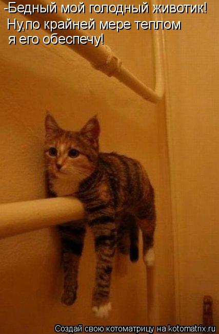 Котоматрица: -Бедный мой голодный животик! Ну,по крайней мере теплом  я его обеспечу!