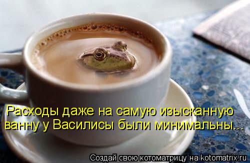 Котоматрица: Расходы даже на самую изысканную ванну у Василисы были минимальны...