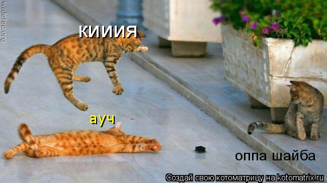 Котоматрица: кииия ауч оппа шайба