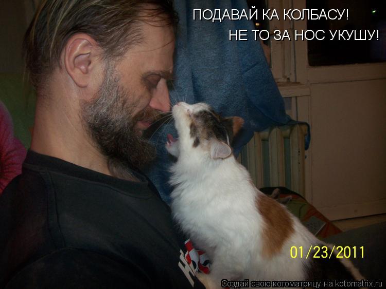 Котоматрица: ПОДАВАЙ КА КОЛБАСУ! НЕ ТО ЗА НОС УКУШУ!