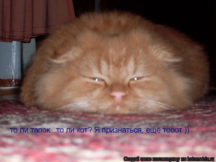 Котоматрица: то ли тапок...то ли кот? Я признаться, ещё тооот ))