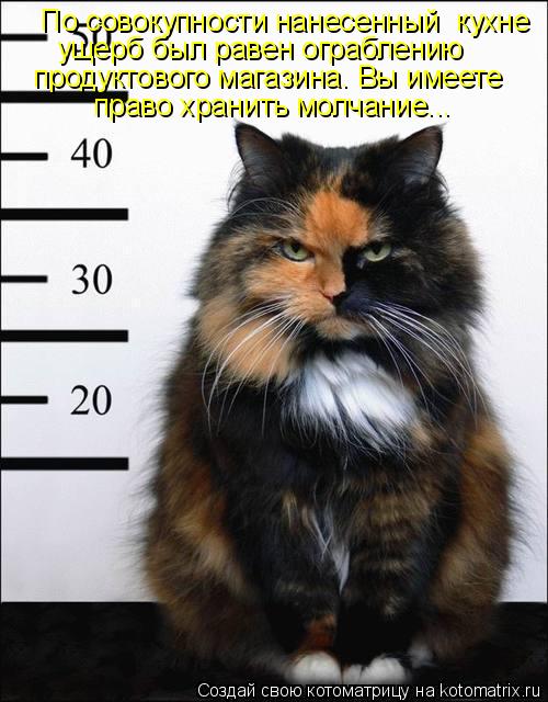 Котоматрица: По совокупности нанесенный  кухне ущерб был равен ограблению продуктового магазина. Вы имеете право хранить молчание...
