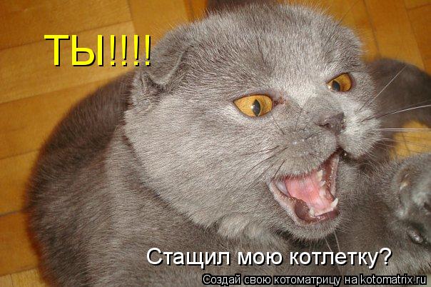 Котоматрица: ТЫ!!!! Стащил мою котлетку?