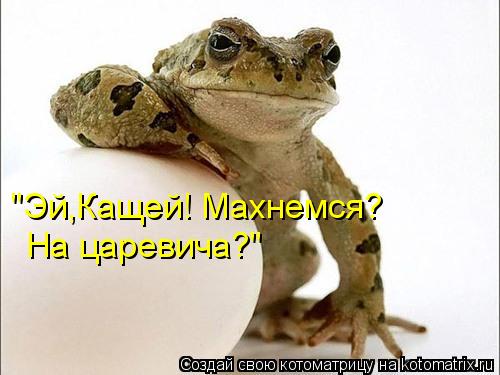 http://kotomatrix.ru/images/lolz/2011/06/20/934372.jpg