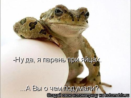 Котоматрица: -Ну да, я парень при яйцах. ...А Вы о чем подумали?