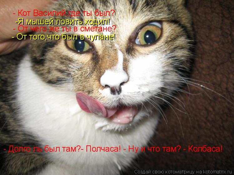 - Кот Василий,где ты был? -Я мышей ловить ходил! - От чего же ты в сметане? - От того,что был в чулан... Котоматрица: - Кот Василий,где ты был? -Я мышей ловить ходил! - От чего же ты в сметане? - От того,что был в чулане! - Долго ль был там?- Полчаса! - Ну и что там?