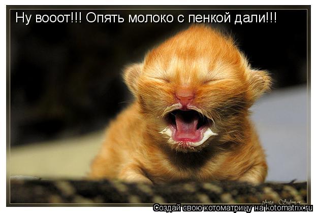 Ну вооот!!! Ну вооот!!! Опять молоко с пенкой дали!!!... Котоматрица: Ну вооот!!! Ну вооот!!! Опять молоко с пенкой дали!!!