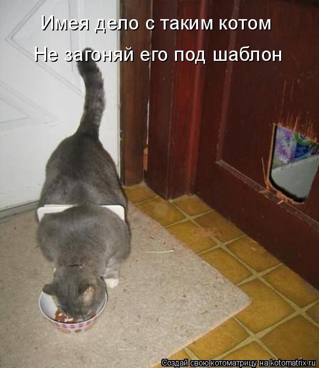 Котоматрица: Имея дело с таким котом Не загоняй его под шаблон