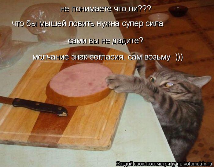 Котоматрица: не понимаете что ли??? что бы мышей ловить нужна супер сила сами вы не дадите? молчание знак согласия, сам возьму )))