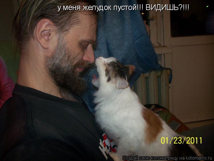 Котоматрица: у меня желудок пустой!!! ВИДИШЬ?!!!