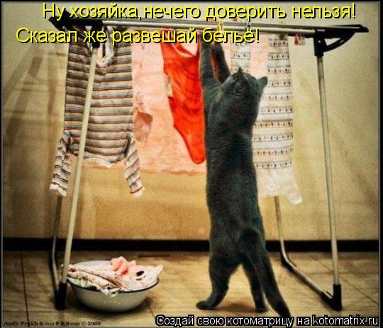 Котоматрица: Ну хозяйка,нечего доверить нельзя! Сказал же развешай бельё!