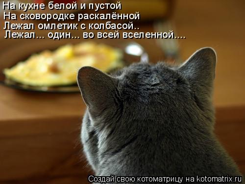 Котоматрица: На кухне белой и пустой На сковородке раскалённой Лежал омлетик с колбасой.. Лежал... один... во всей вселенной....