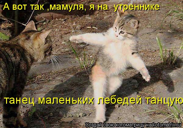 Котоматрица: А вот так ,мамуля, я на  утреннике  танец маленьких лебедей танцую