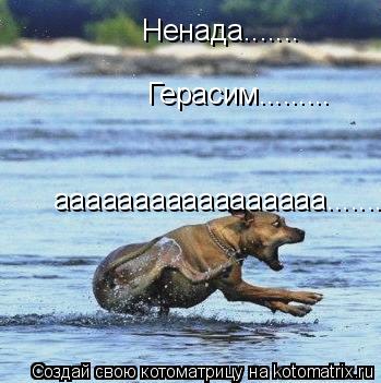 Котоматрица: Ненада....... Герасим......... ааааааааааааааааа.......