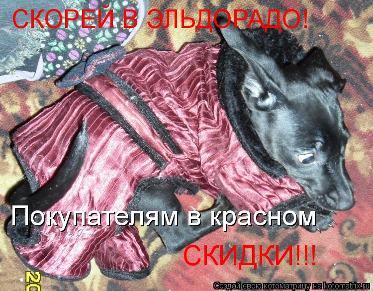 СКОРЕЙ В ЭЛЬДОРАДО! Покупателям в красном СКИДКИ!!!... Котоматрица: СКОРЕЙ В ЭЛЬДОРАДО! Покупателям в красном СКИДКИ!!!